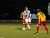 52-SandecjaStomil