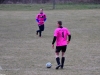 14-zamczyskokorzenna