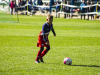 IMG_8495_wm-Copy