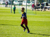 IMG_8502_wm-Copy