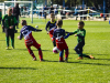 IMG_8505_wm-Copy