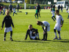 IMG_8520_wm-Copy