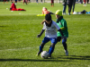 IMG_8534_wm-Copy