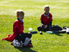 IMG_8537_wm-Copy