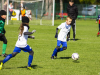 IMG_8542_wm-Copy