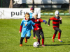 IMG_8618_wm-Copy