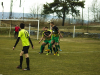 IMG_0061_wm-Copy