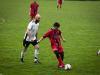 IMG_3938_wm-Copy