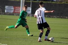 IMG_9545-Copy