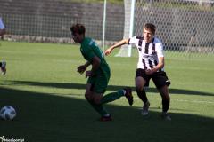 IMG_9631-Copy
