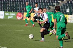 IMG_9647-Copy