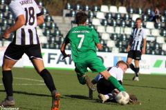 IMG_9697-Copy