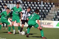 IMG_9716-Copy