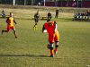 IMG_9248_wm-Copy
