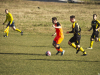 IMG_9274_wm-Copy