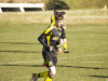 IMG_9320_wm-Copy