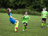 IMG_5140_wm-Copy