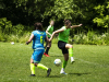 IMG_5200_wm-Copy