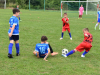 DSC_0031-Copy