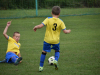 DSC_0079-Copy