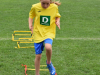 DSC_0140-Copy