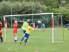 DSC_0141-Copy
