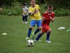 DSC_0142-Copy