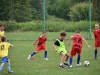 DSC_0143-Copy