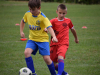 DSC_0152-Copy