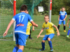 DSC_0283-Copy