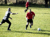 IMG_9102_wm-Copy