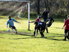 IMG_9138_wm-Copy
