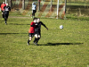 IMG_9151_wm-Copy