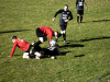 IMG_9162_wm-Copy