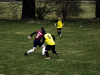 IMG_0140_wm-Copy