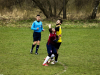 IMG_0154_wm-Copy