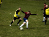 IMG_0189_wm-Copy