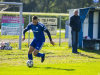IMG_8416-Copy