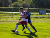 IMG_8419-Copy