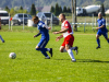 IMG_8430-Copy