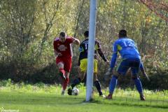 IMG_7855-Copy
