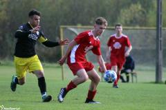 IMG_7971-Copy