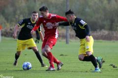 IMG_7984-Copy