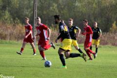 IMG_8004-Copy