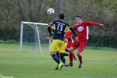 IMG_8019-Copy