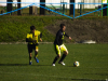 IMG_8988_wm-Copy