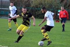 IMG_8142-Copy