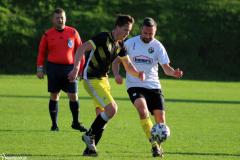 IMG_8175-Copy