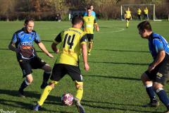 IMG_8483-Copy