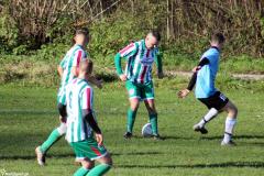 IMG_8687-Copy
